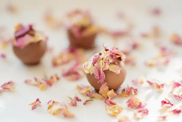 Bet9 Casino Android/iOS aplikacija